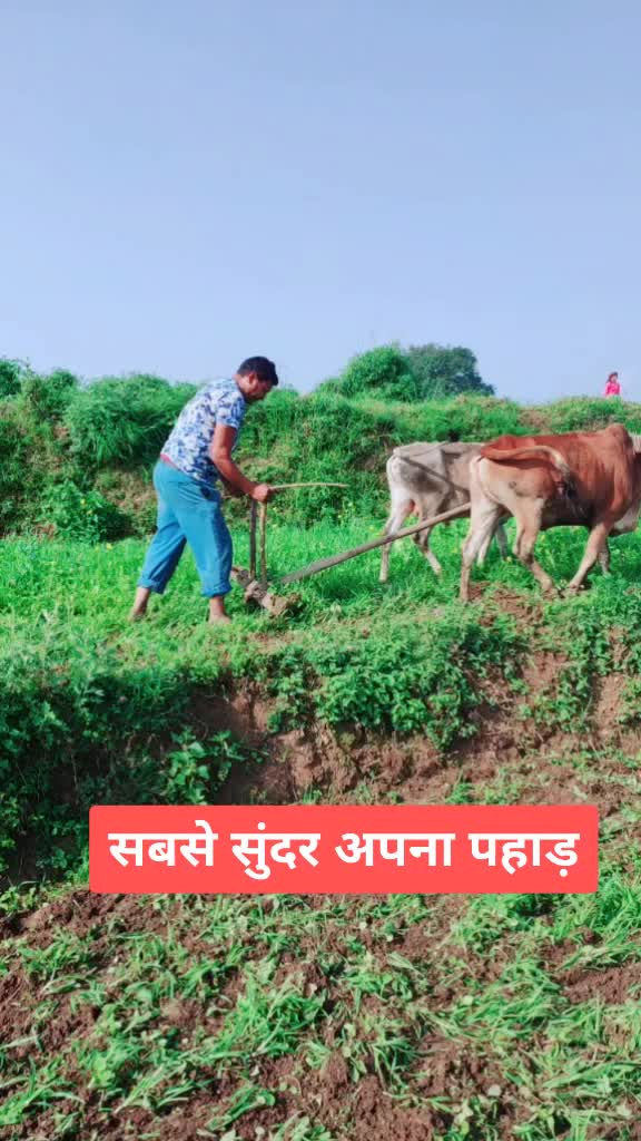 @pankaj पहाड़ी143uk03