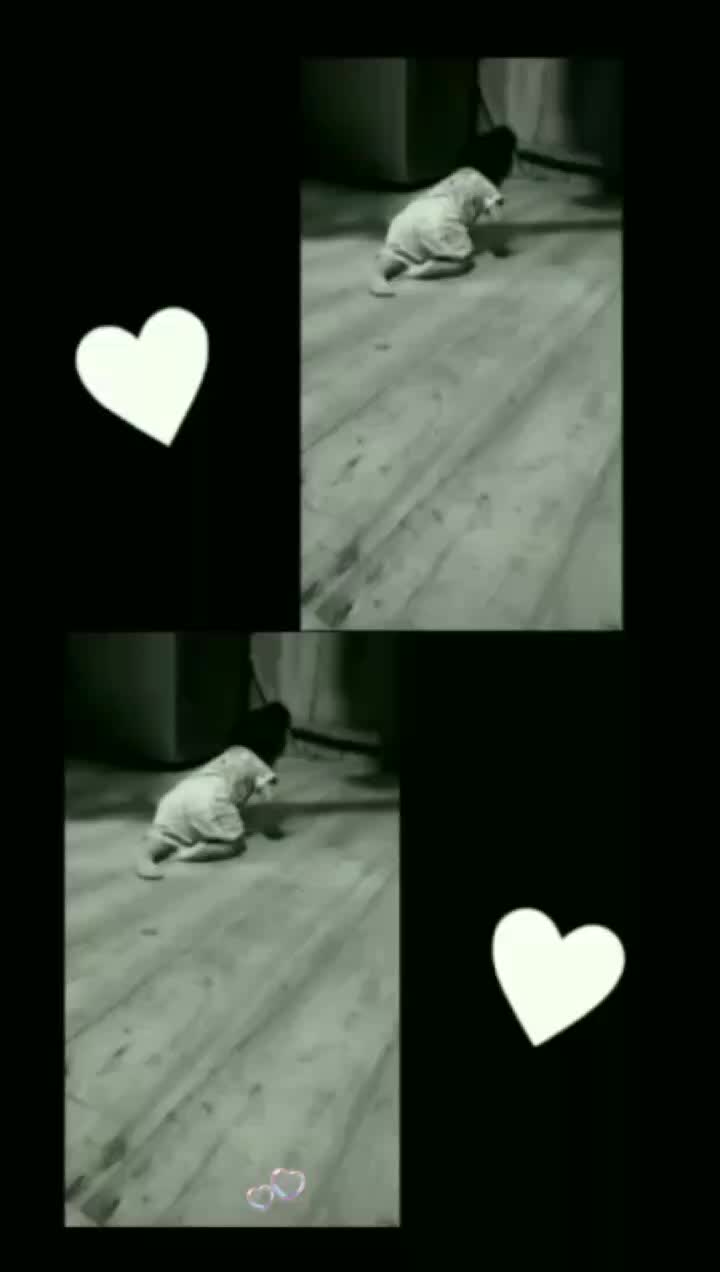 @🦋 ĄĐŘÝ🌷