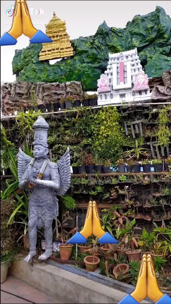 @Tik Toker