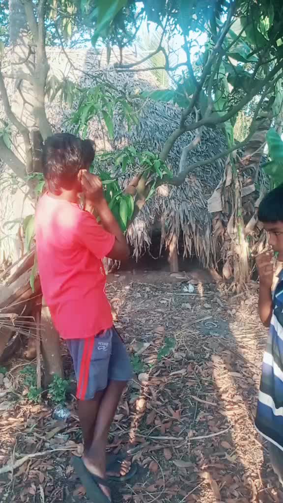 @user421508