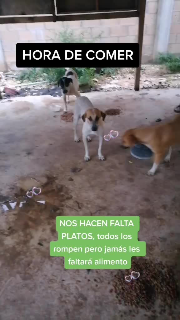 @CasaSAJ