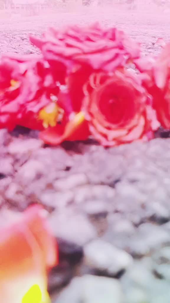 @y-e-s-u&mdash;&mdash;&mdash;&mdash;&mdash;143
