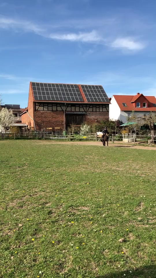 @Pony.gruppe❤️✨