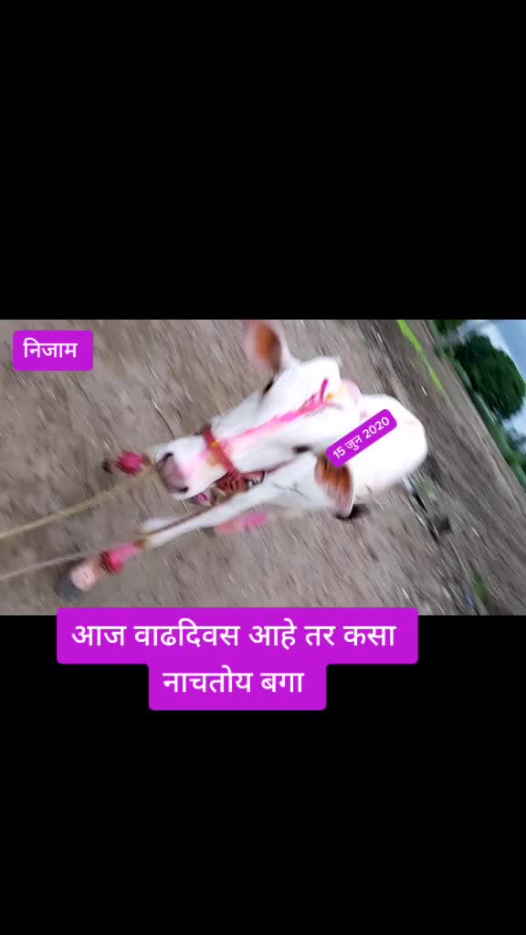 @Somnath Pawar