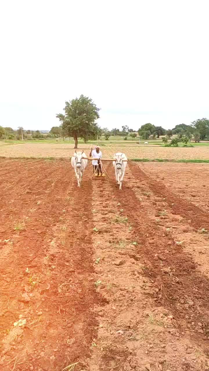 @bittubhai😘
