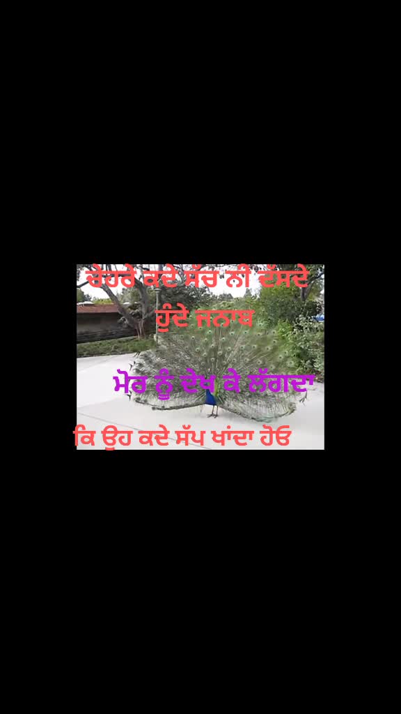 @@sukhveerkaur27