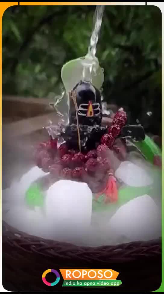 @user29783977346
