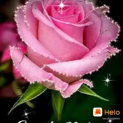 @ajay