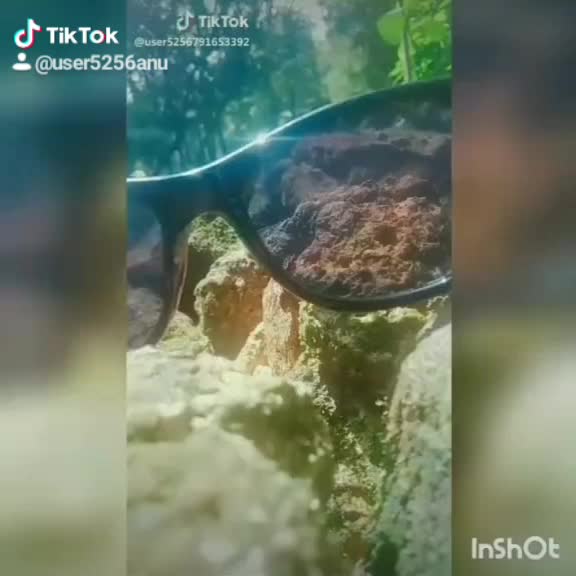 @Vicky123 💚❤️