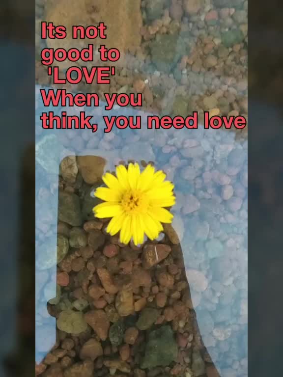 @Lily97