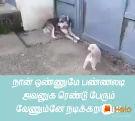 @Palladam Ashok94