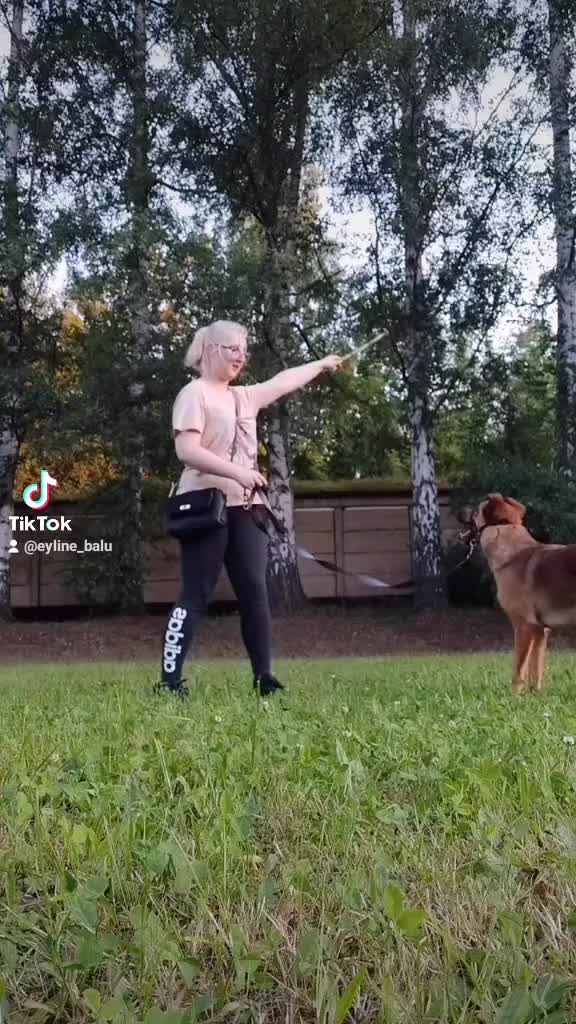 @eyline