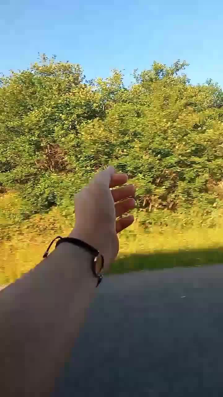 @beyzanisa.