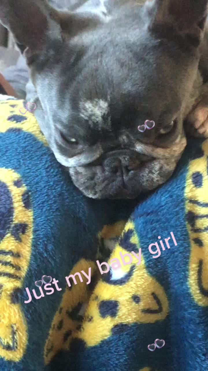 @plushgirl2