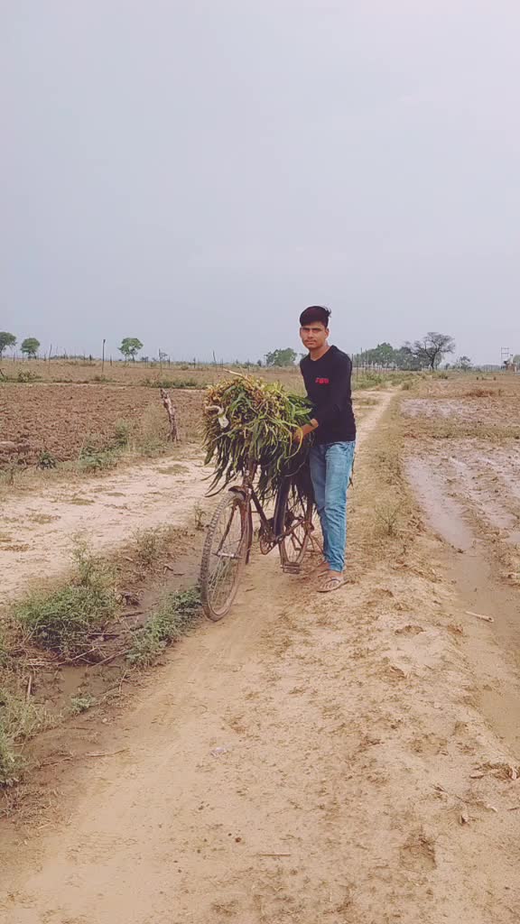 @Prem Roy