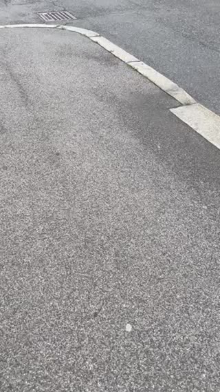 @car.spotted,sd