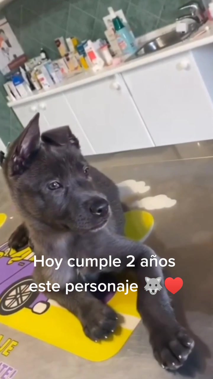 @carmenclaudiajr