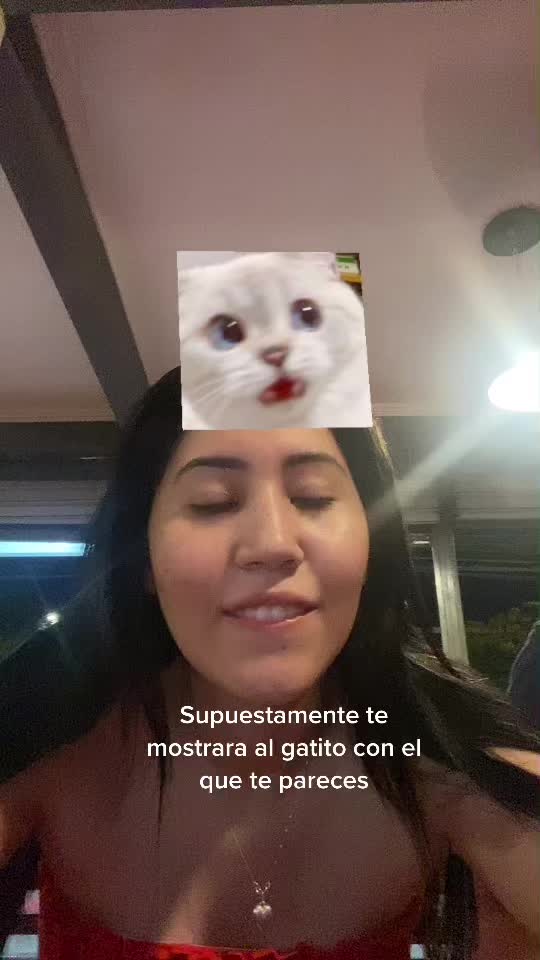 @Corderito🎌