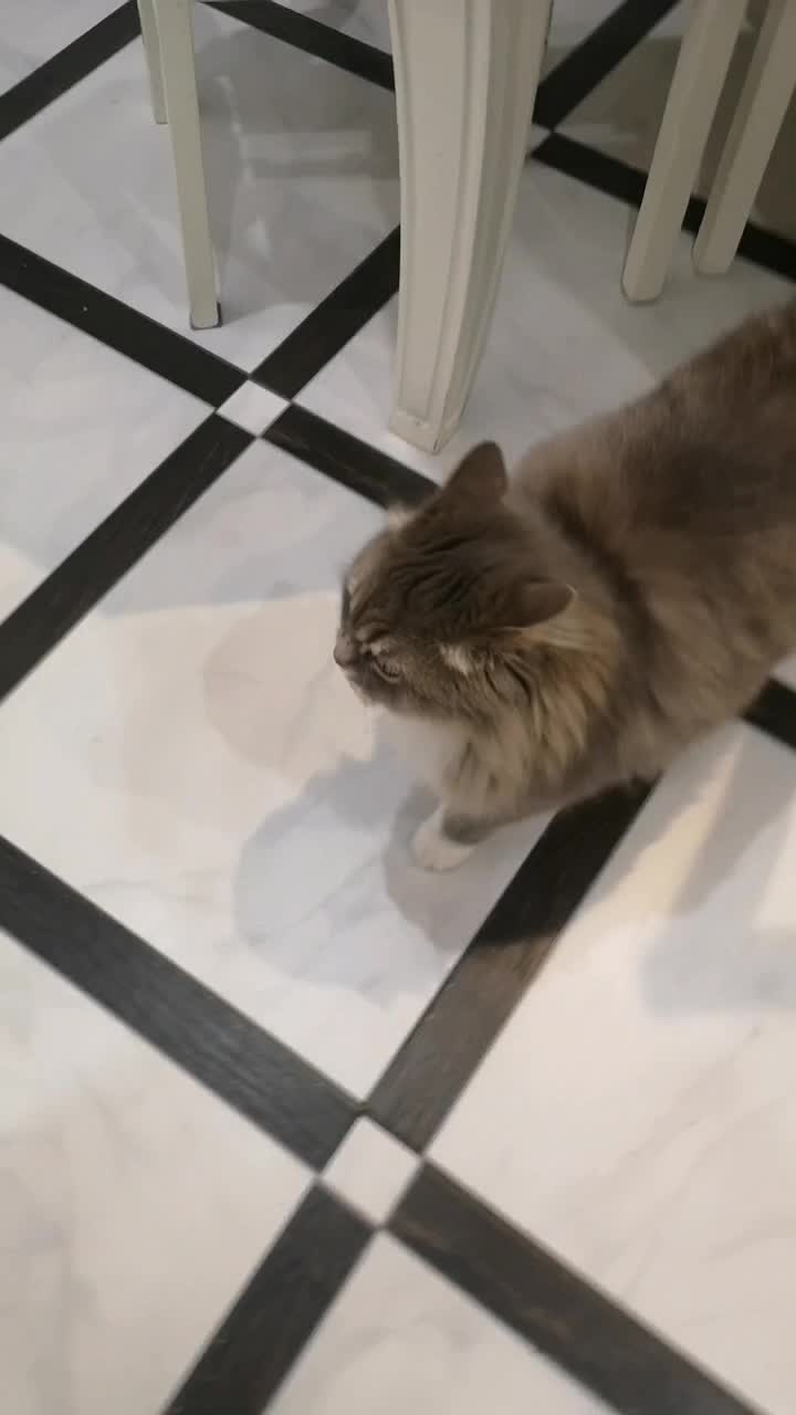 @ЕвГений