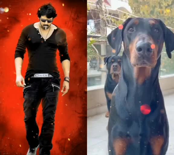 @manojkumar