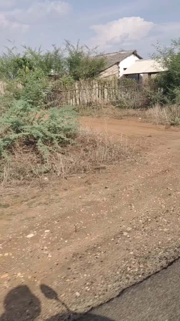 @wattooo_paiya