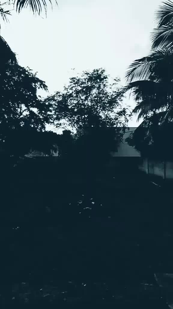 @Rasu Kutty