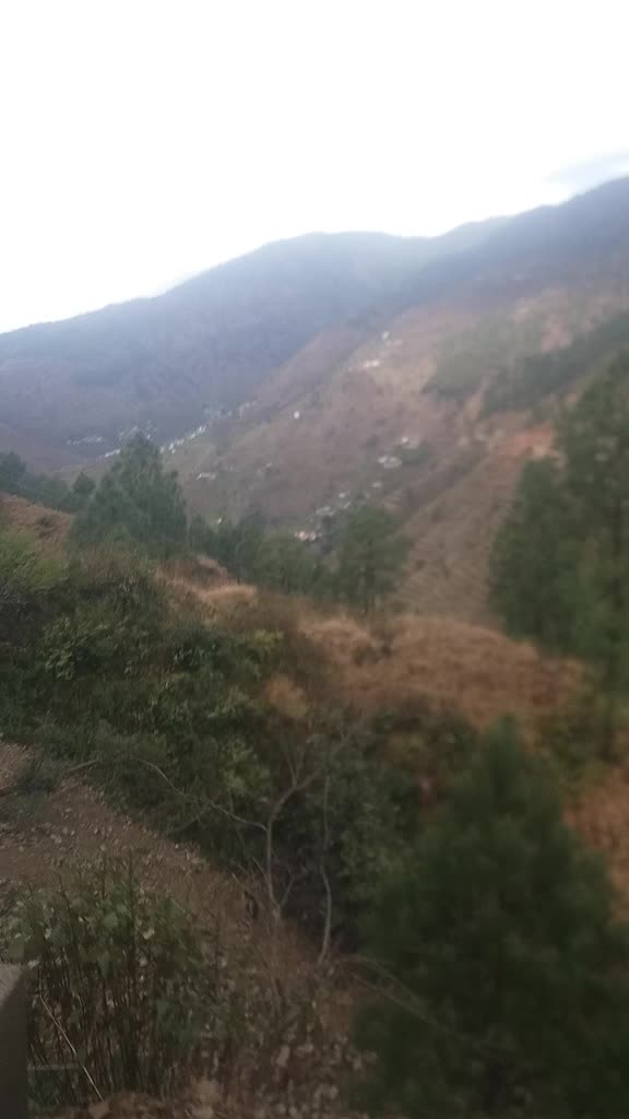 @pahadi bula