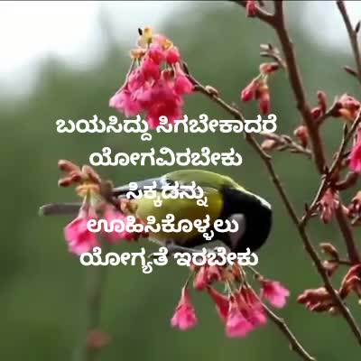 @Naghu R M N