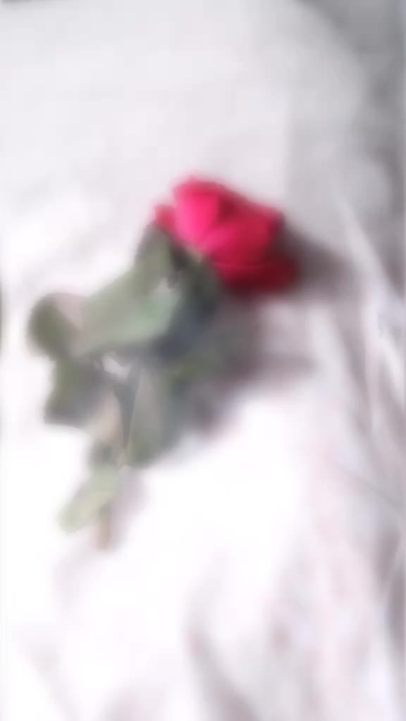 @Amir Samir