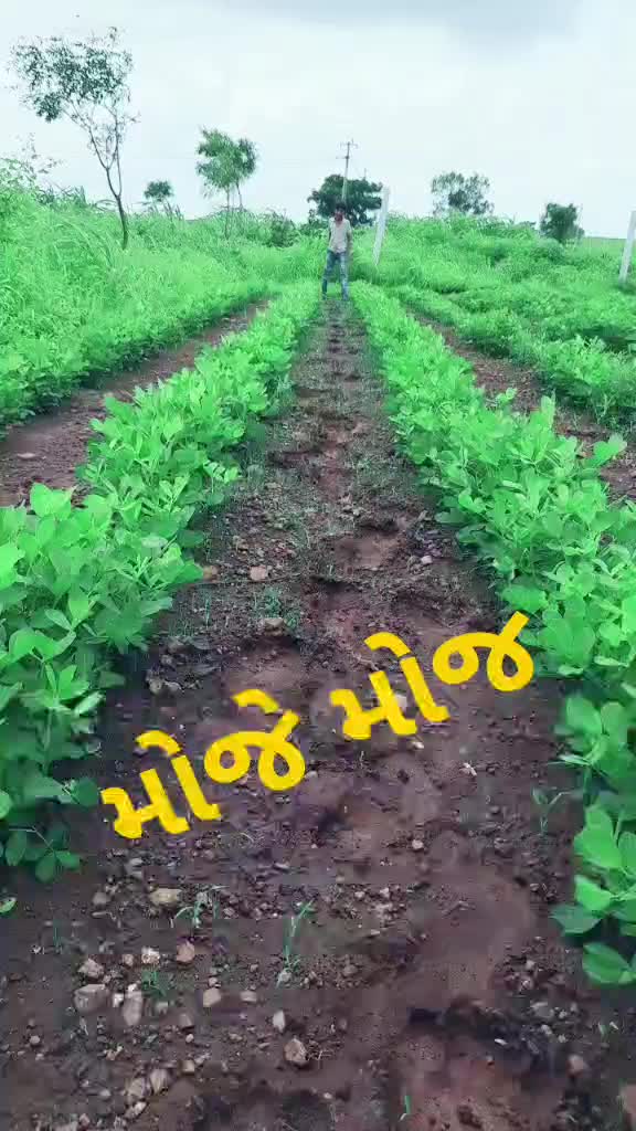 @Tik Toker