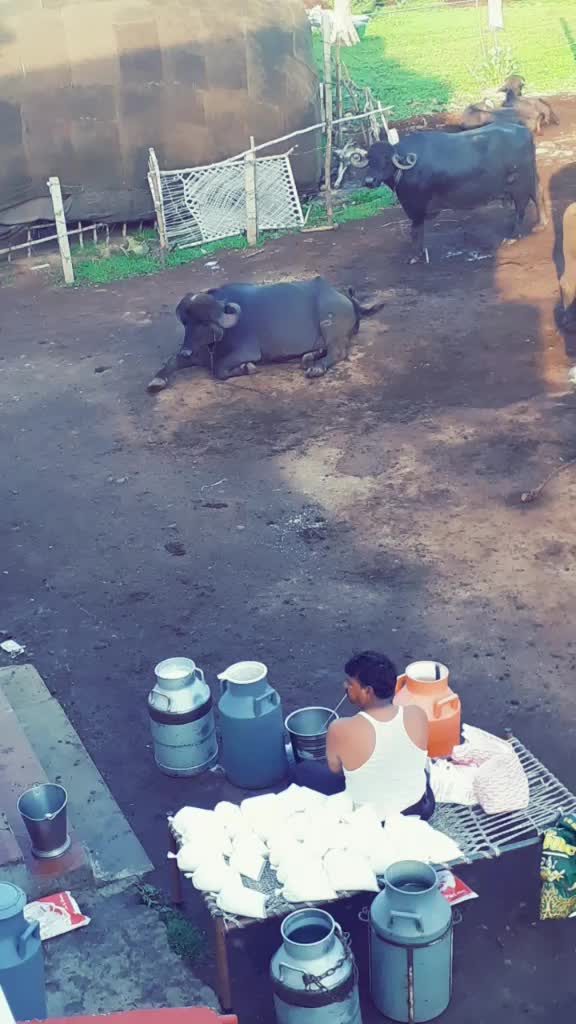 @દેપાલ ભાઇ વાલા