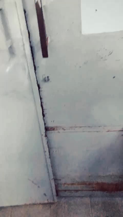 @tanzeelaimran