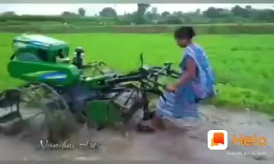 @gombe 2244