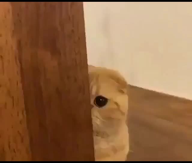 @Sagar Sagar
