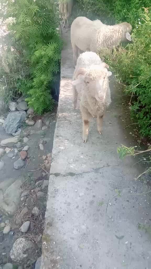 @Vidya thakur