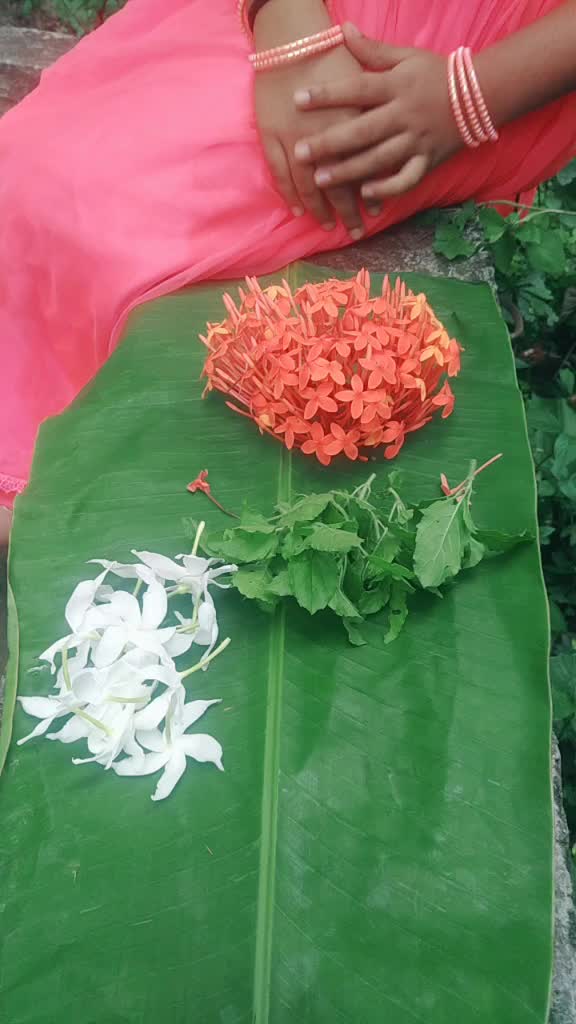 @Saji Sharma