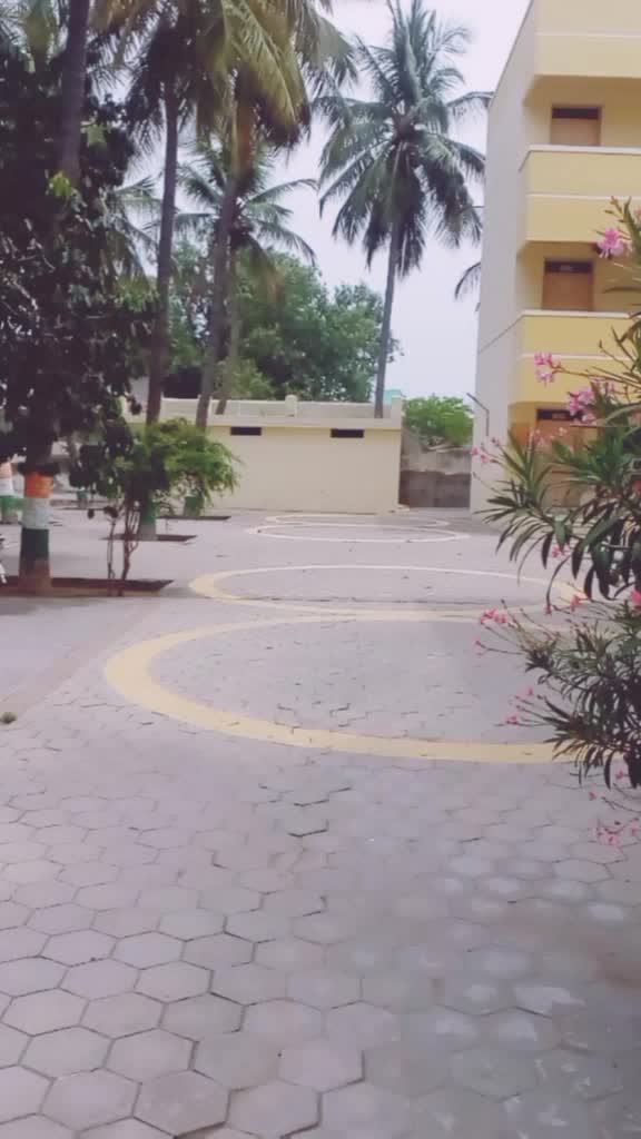 @A_S_A_L_T_4725