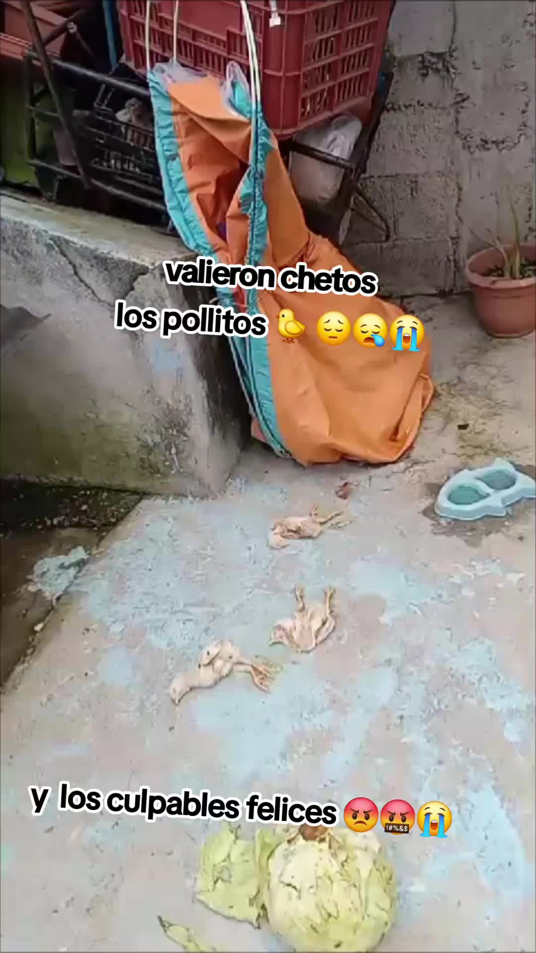 @😶🌫️PECHER😶🌫️☠️💀💣💥
