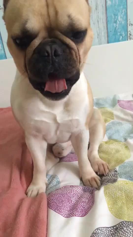 @Melík❤️