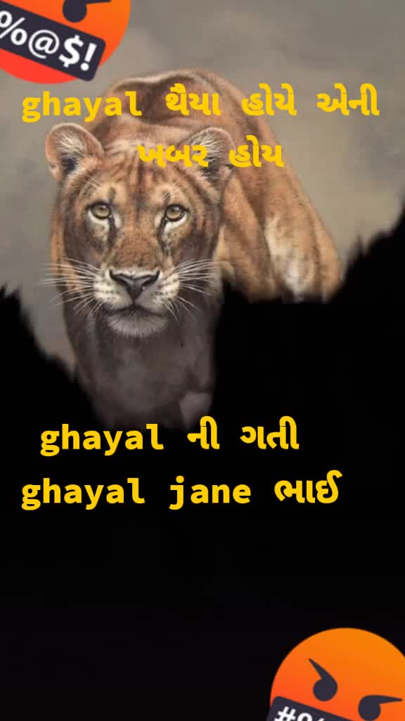 @gandi_gir_ni_sihan
