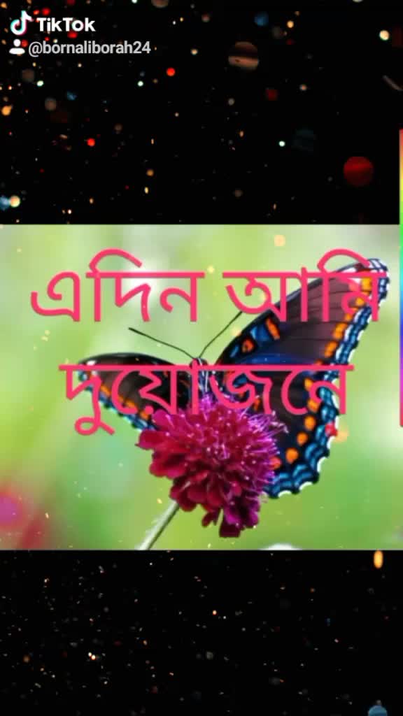 @bornali borah