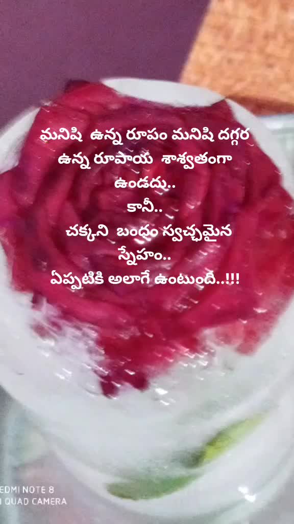 @ANJI