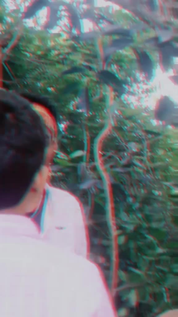 @zulif...k