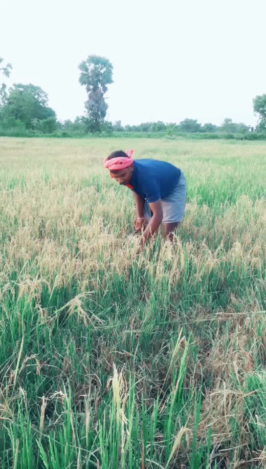 @Prasath