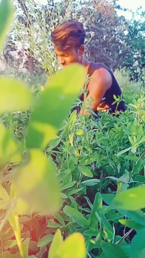 @Shivaay Teniwal
