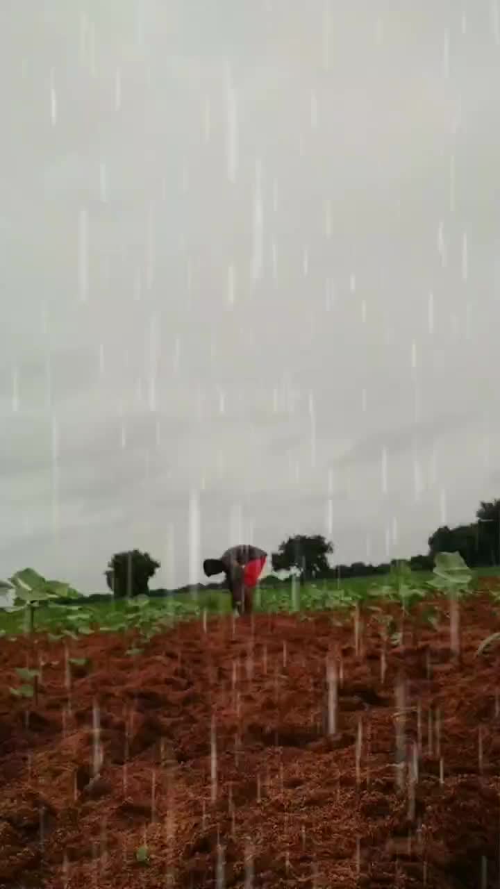 @RamyaReddy65