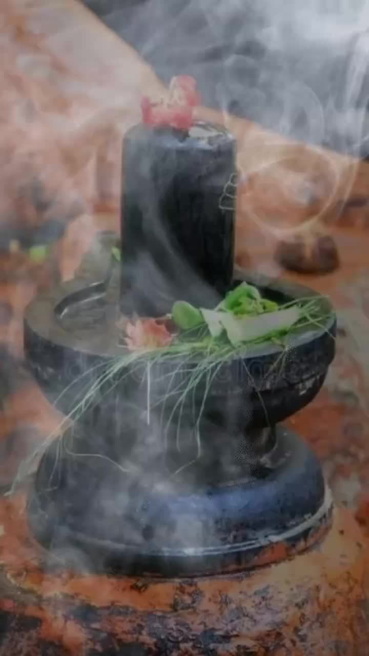 @🌹🌺शिवांश हु मैं 🔱