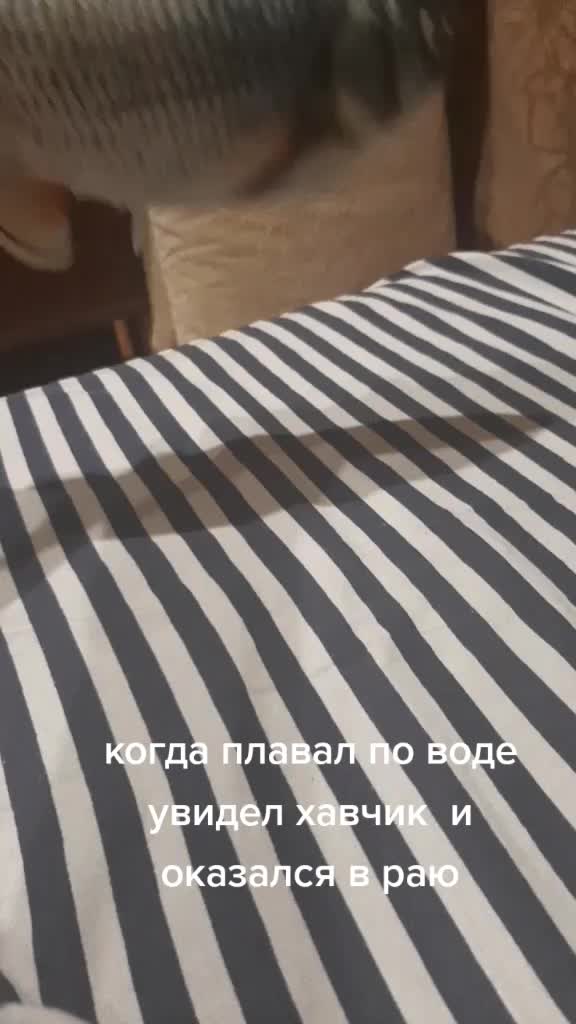 @воченоу
