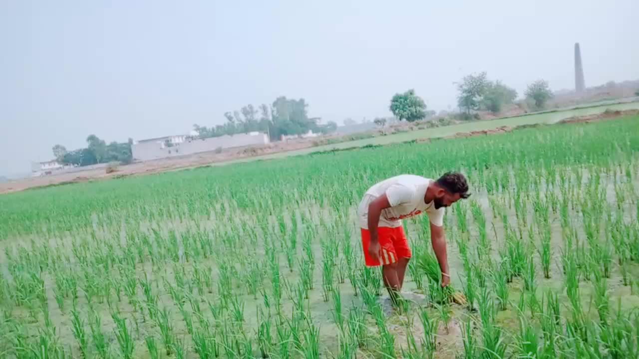 @Jaggi Bachhal