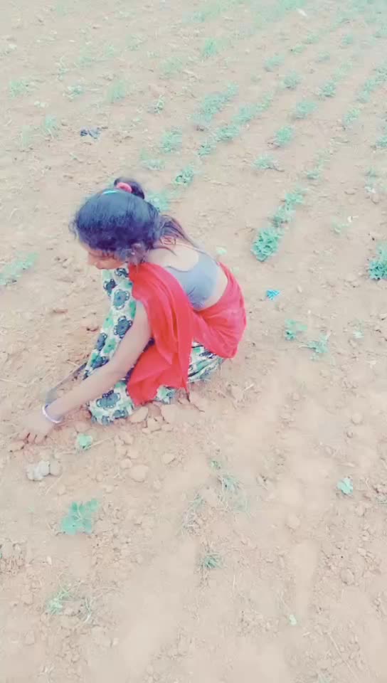 @Kamil Damor